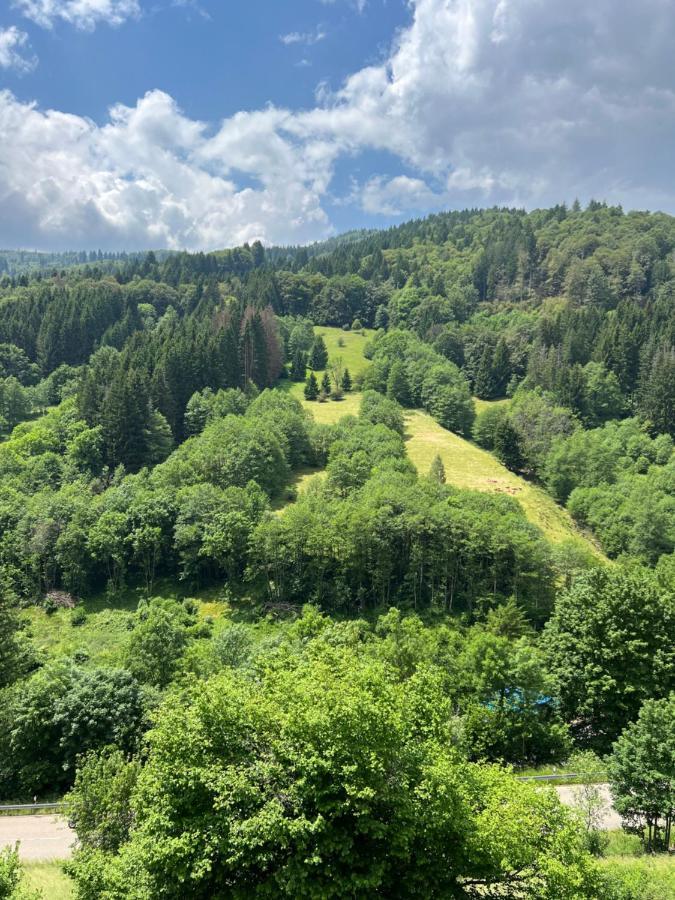 Bollenlodge - Ferienwohnung Mit Ausblick Und Top Lage Todtnau Zewnętrze zdjęcie